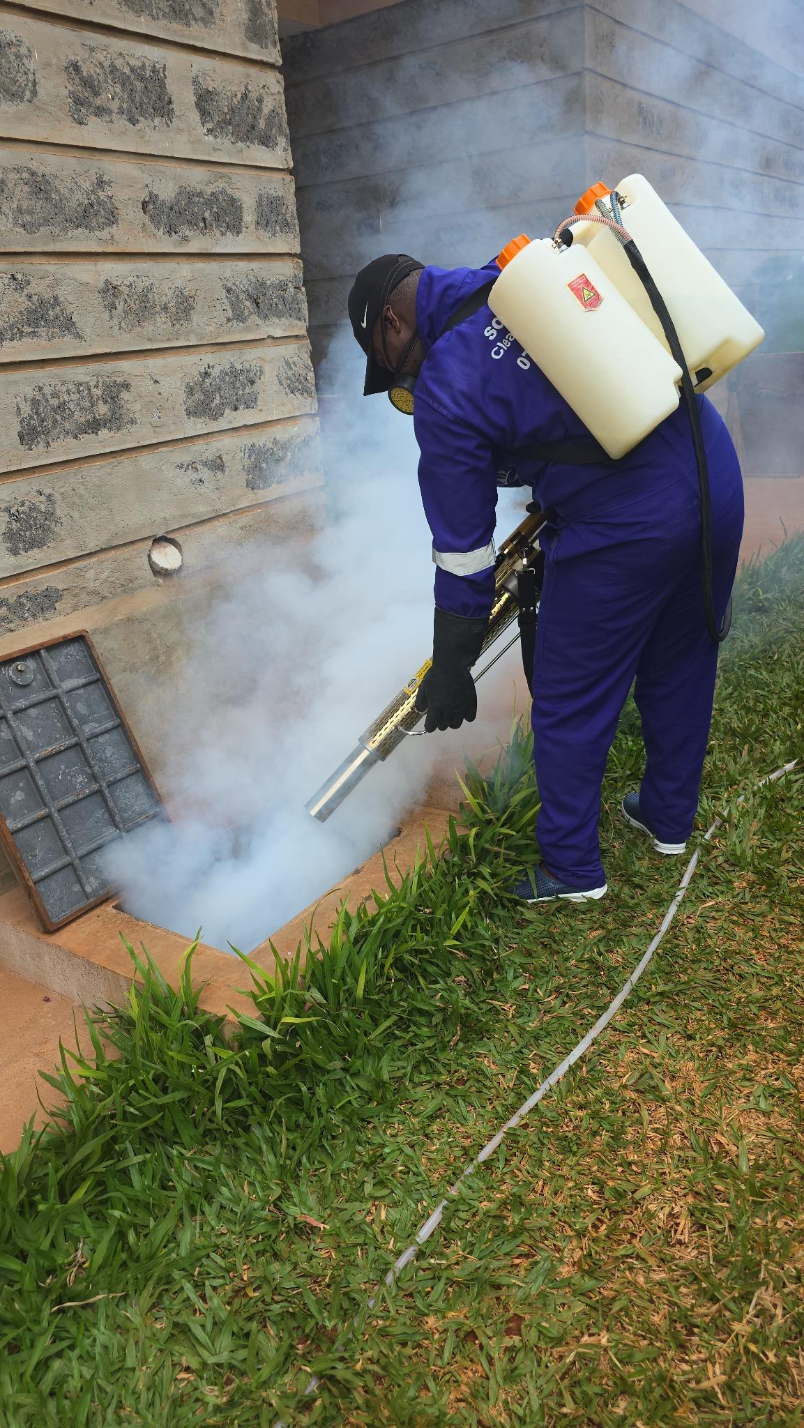 Thermal fogging around outdoor drainage areas.