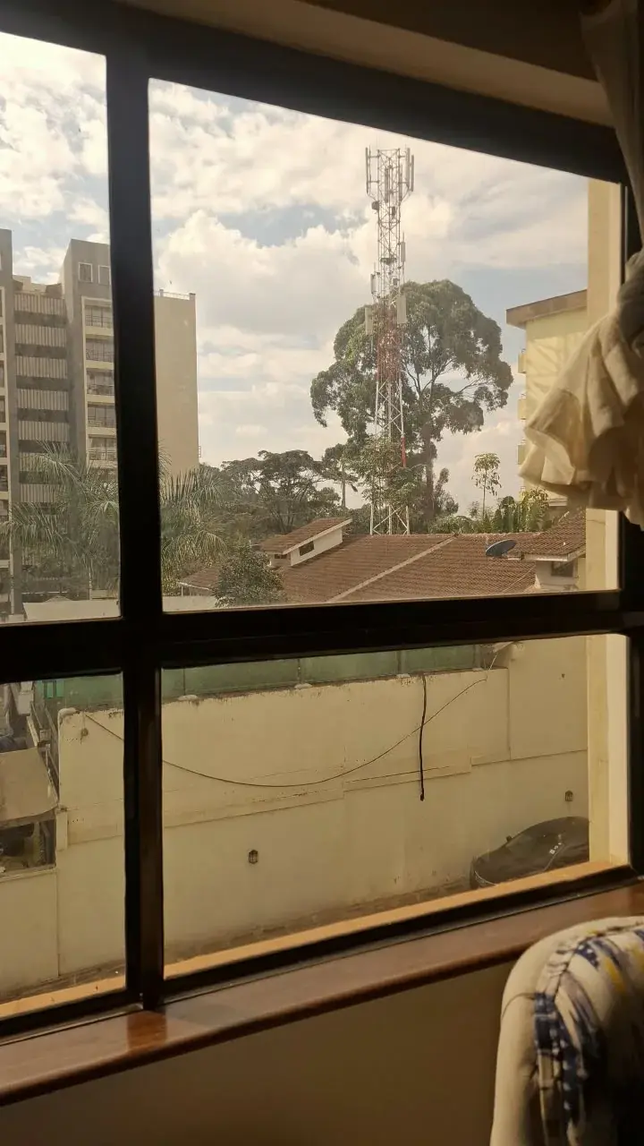 Window & Exterior Cleaning: after cleaning