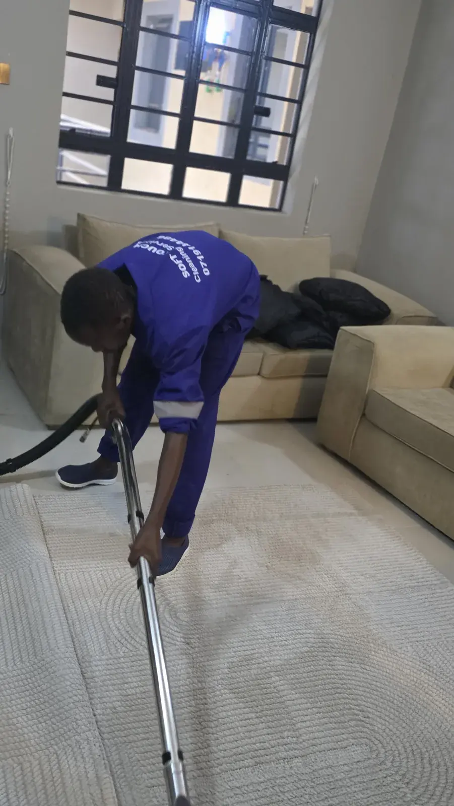 Detailed carpet cleaning